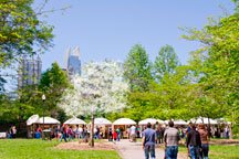 Atlanta Dogwood Festival 2024 and Record Store Day