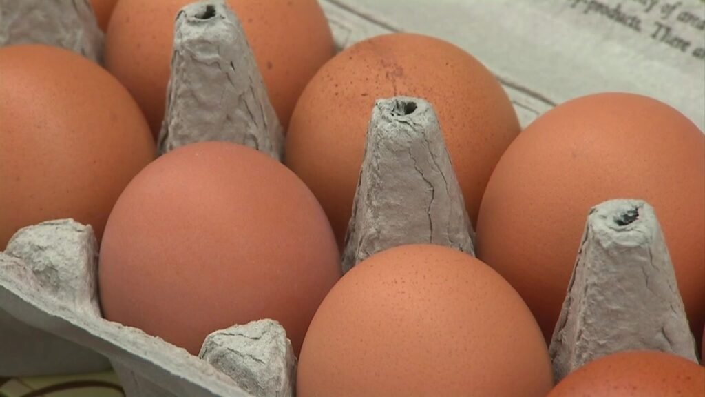 Egg prices increase to record high despite bird flu outbreak